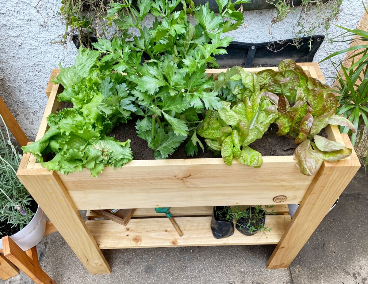 Jardinera Huerto 80X40X405