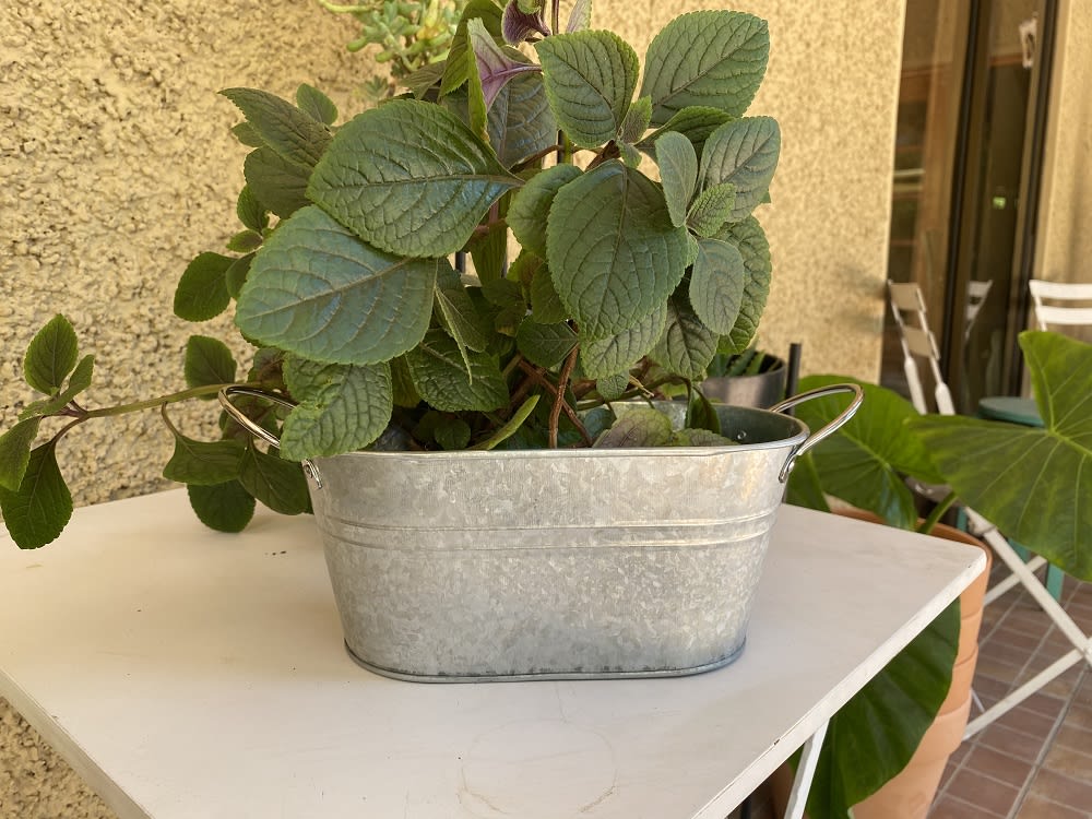 Macetero Metalico Asa L Vintage 24x14x103