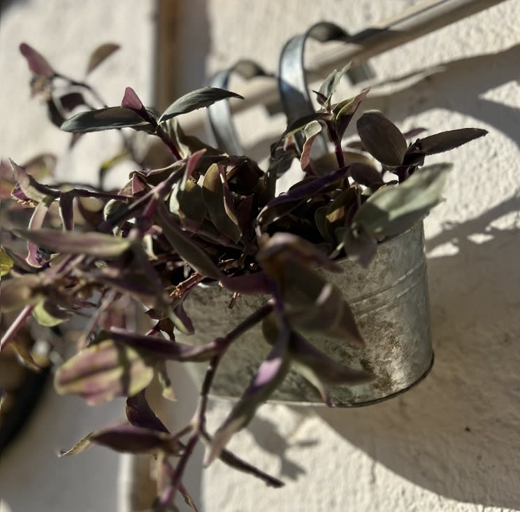 Colgante Doble Metalico Vintage1