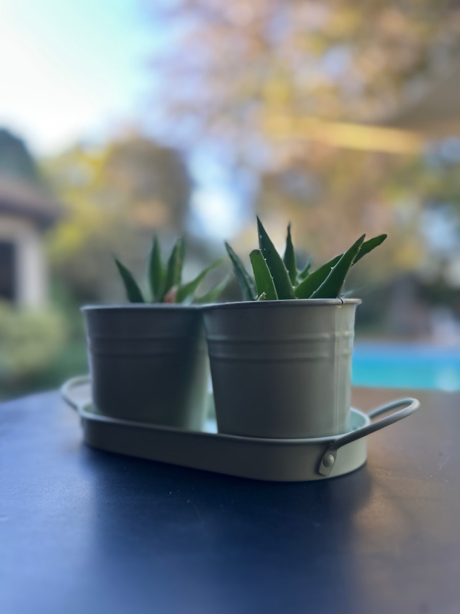 Set 2 Maceteros y Bandeja Crema1