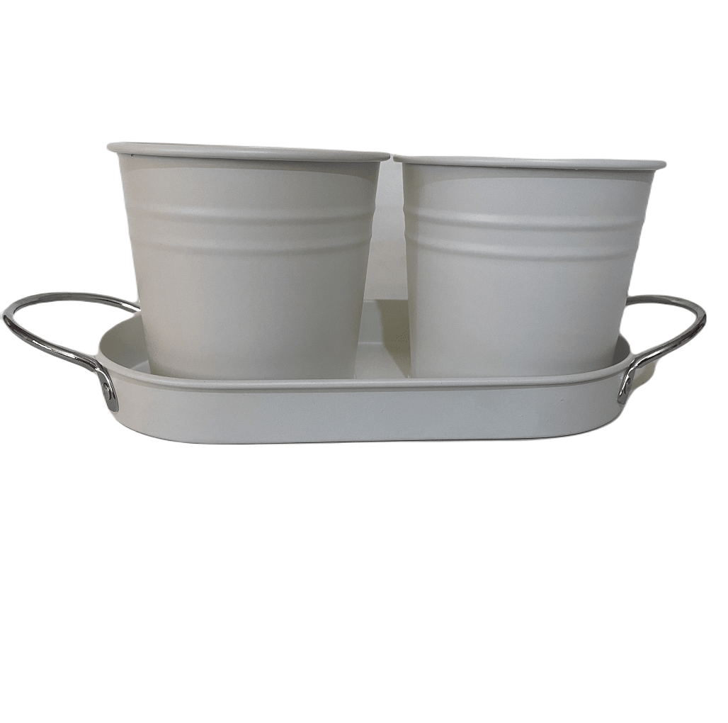 Set 2 Maceteros y Bandeja Crema4