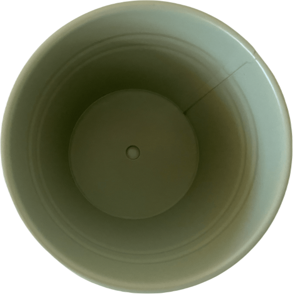 Set 2 Maceteros y Bandeja Verde6