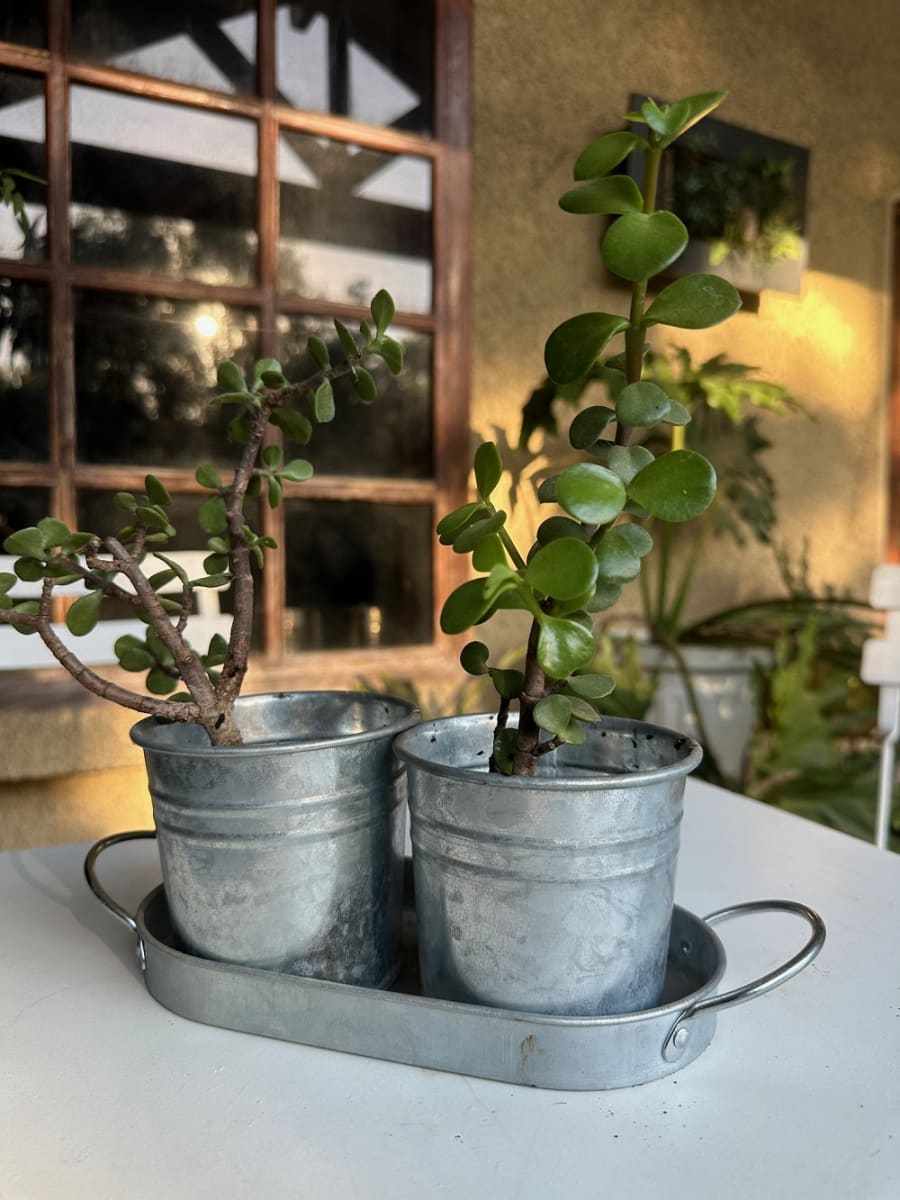 Set 2 Maceteros y Bandeja Vintage2