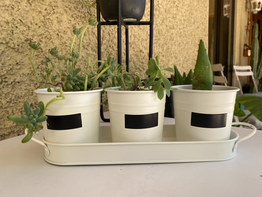 Set de 3 Maceteros y bandeja pizarra Crema2