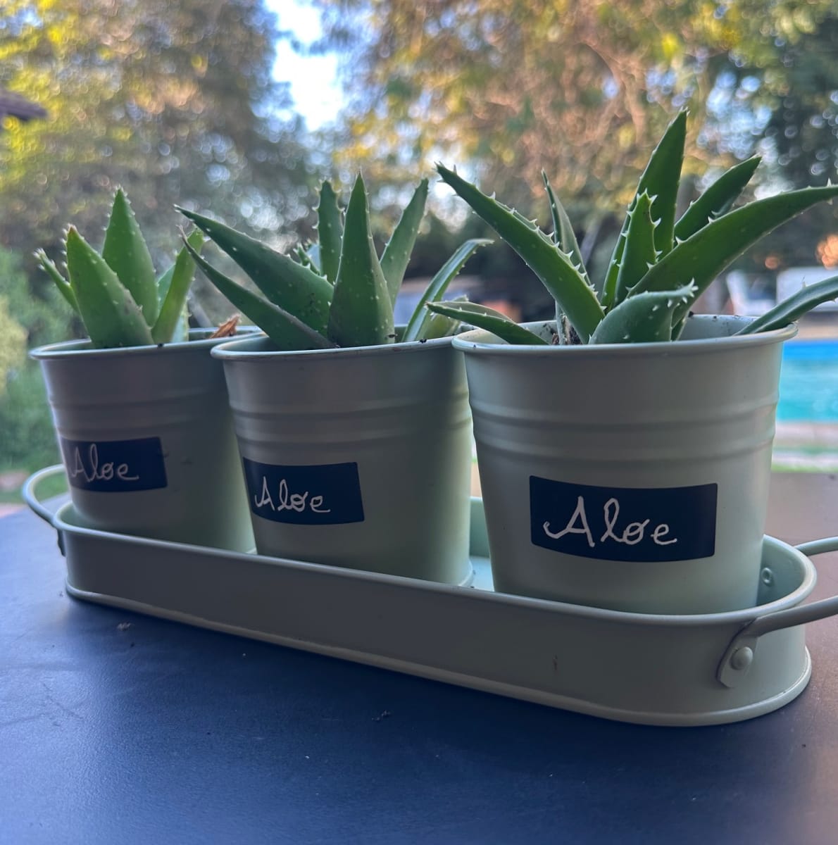 Set de 3 Maceteros y bandeja pizarra Crema6