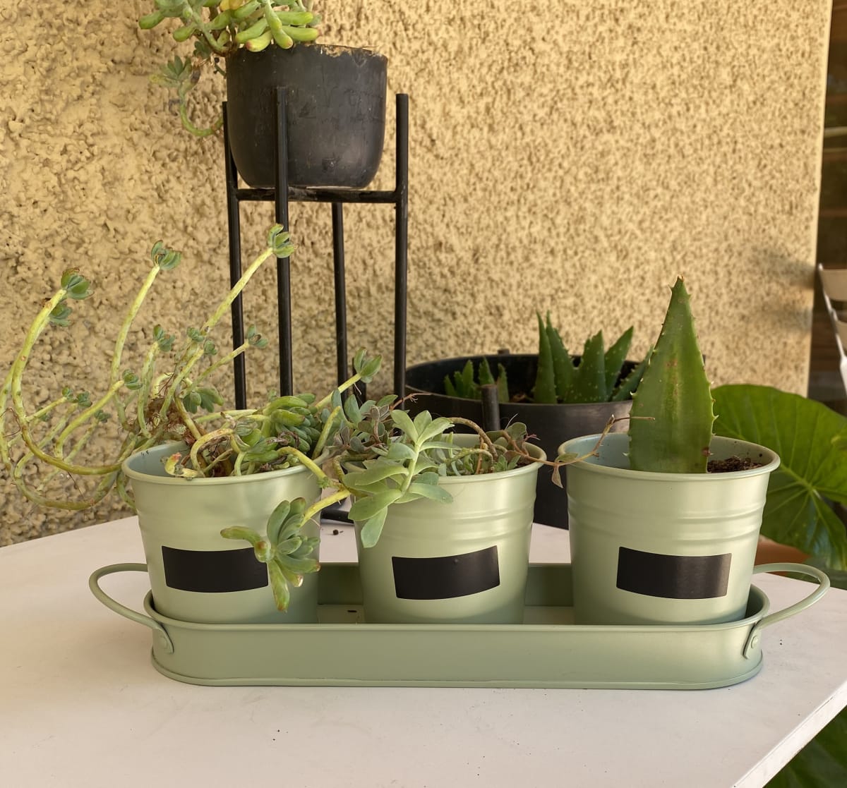 Set de 3 Maceteros y bandeja pizarra Verde1