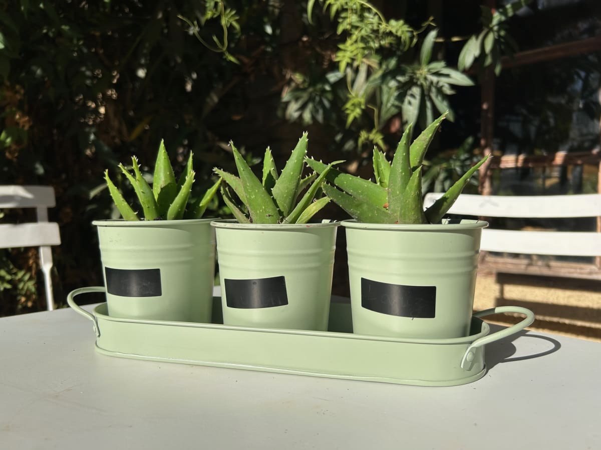 Set de 3 Maceteros y bandeja pizarra Verde2