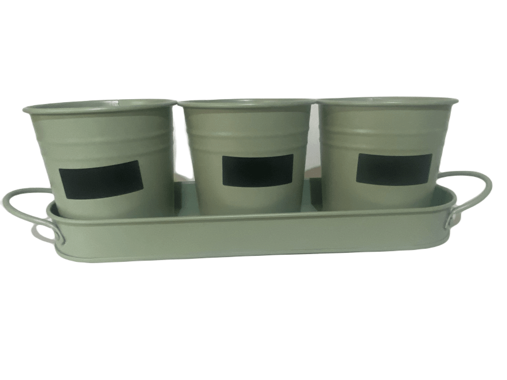Set de 3 Maceteros y bandeja pizarra Verde4