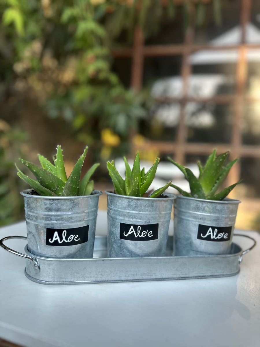 Set de 3 Maceteros y bandeja pizarra Vintage2