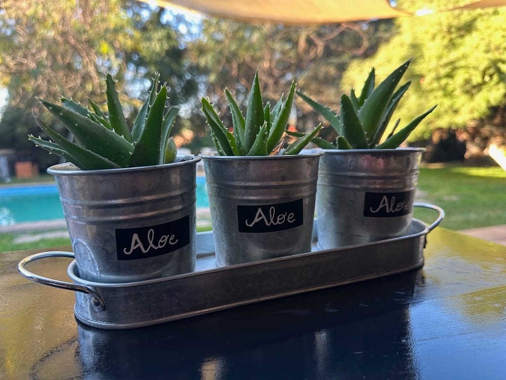 Set de 3 Maceteros y bandeja pizarra Vintage3