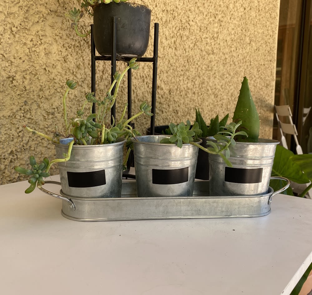 Set de 3 Maceteros y bandeja pizarra Vintage4