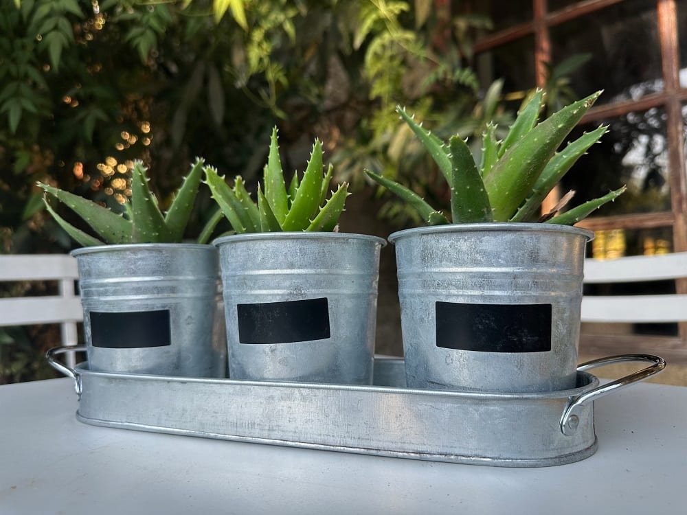 Set de 3 Maceteros y bandeja pizarra Vintage5