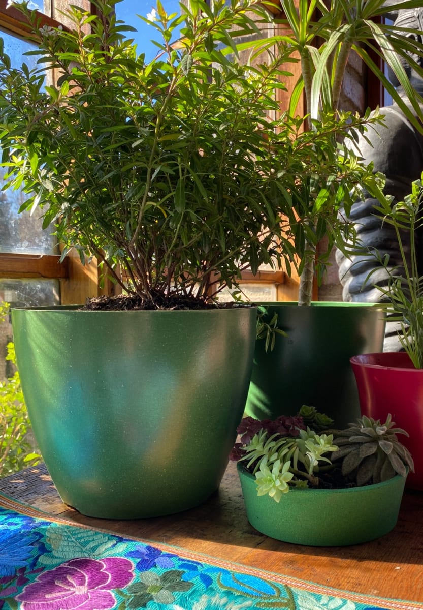 SET 4 Maceteros Bio Actual 2 Negro 2 Musgo 24x24x18 cm6