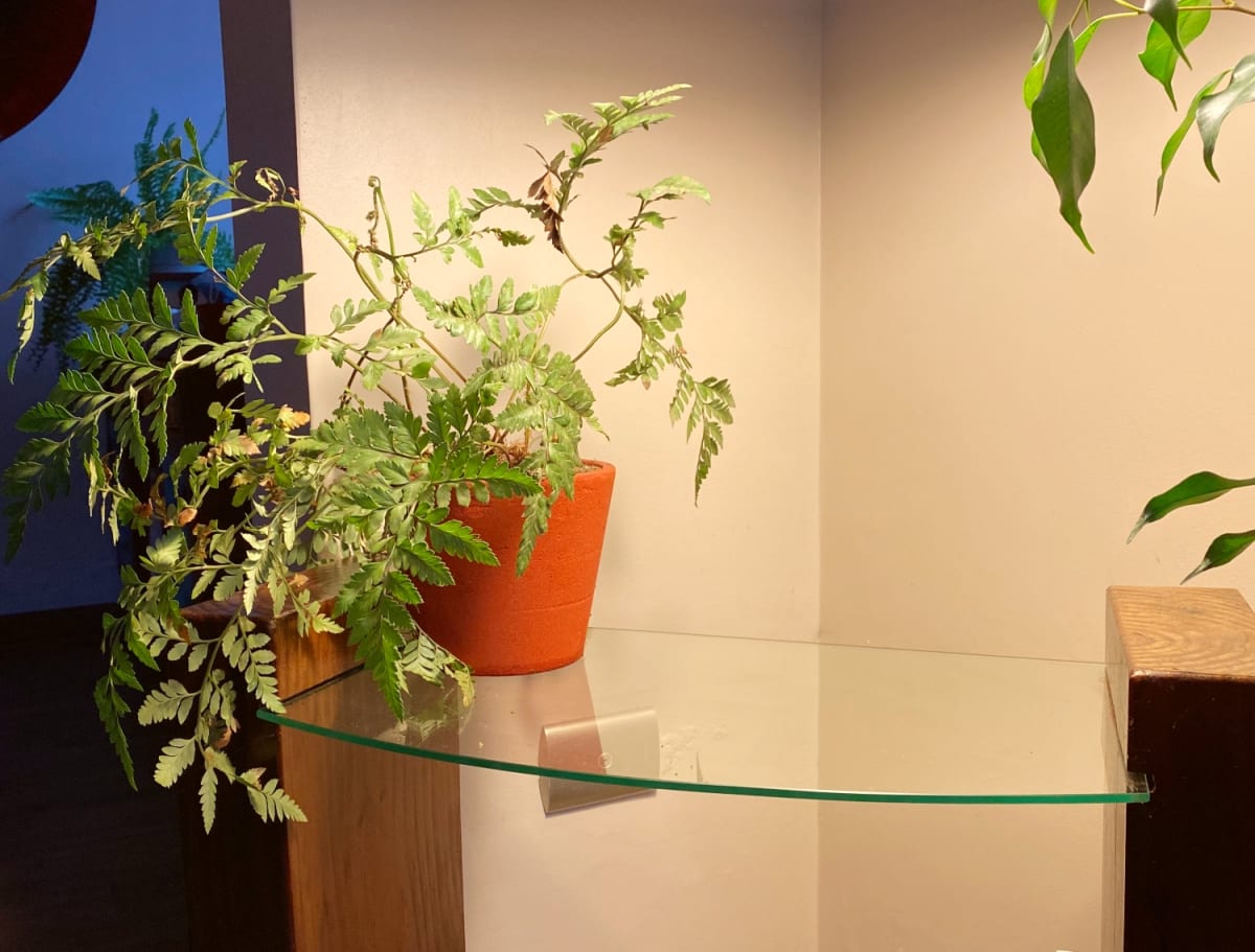 Macetero Bio Arena Mediano Rojo 15x15x13 cm5