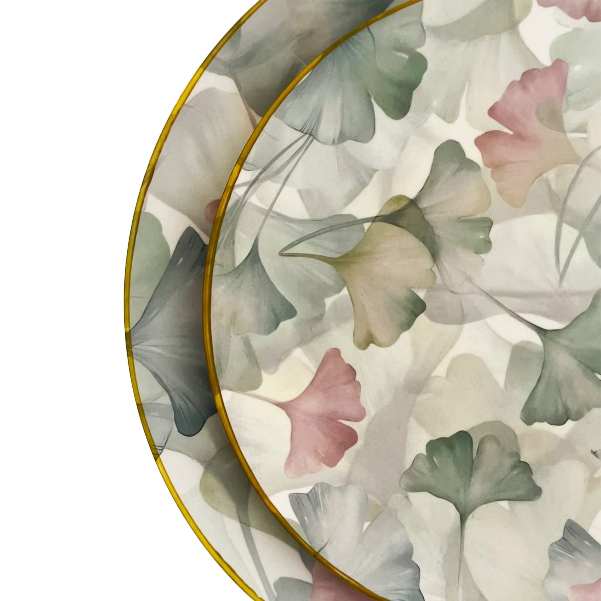 Plato Biobamboo Gingko 25X1,5 Cm2