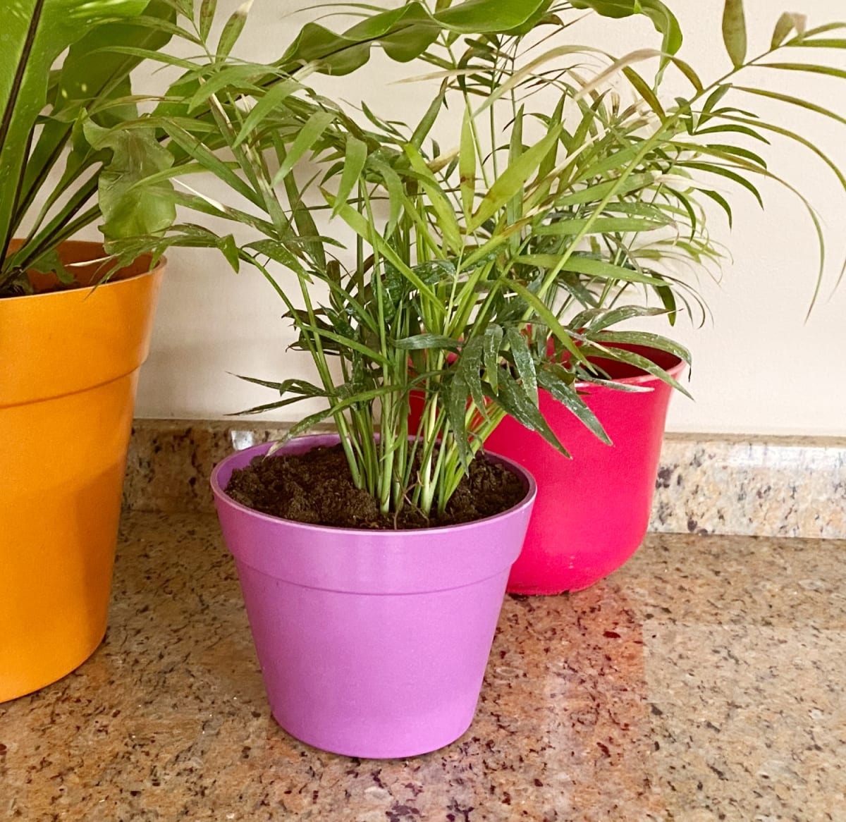 Set De 2 Macetero Bio Bamboo Redondo Purpura 13,7x13,7x10 cm3