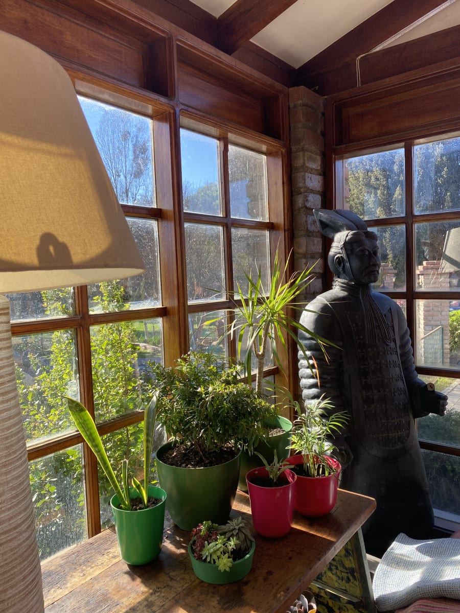 Macetero Bio Bamboo Flores Magenta13x13x14,5 cm3