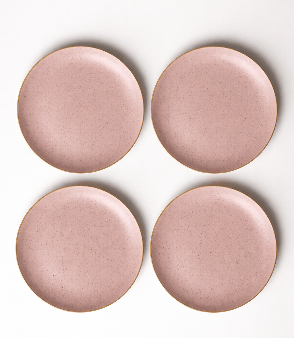 Set 4 Platos PaloRosa BioBamboo 25 cm1