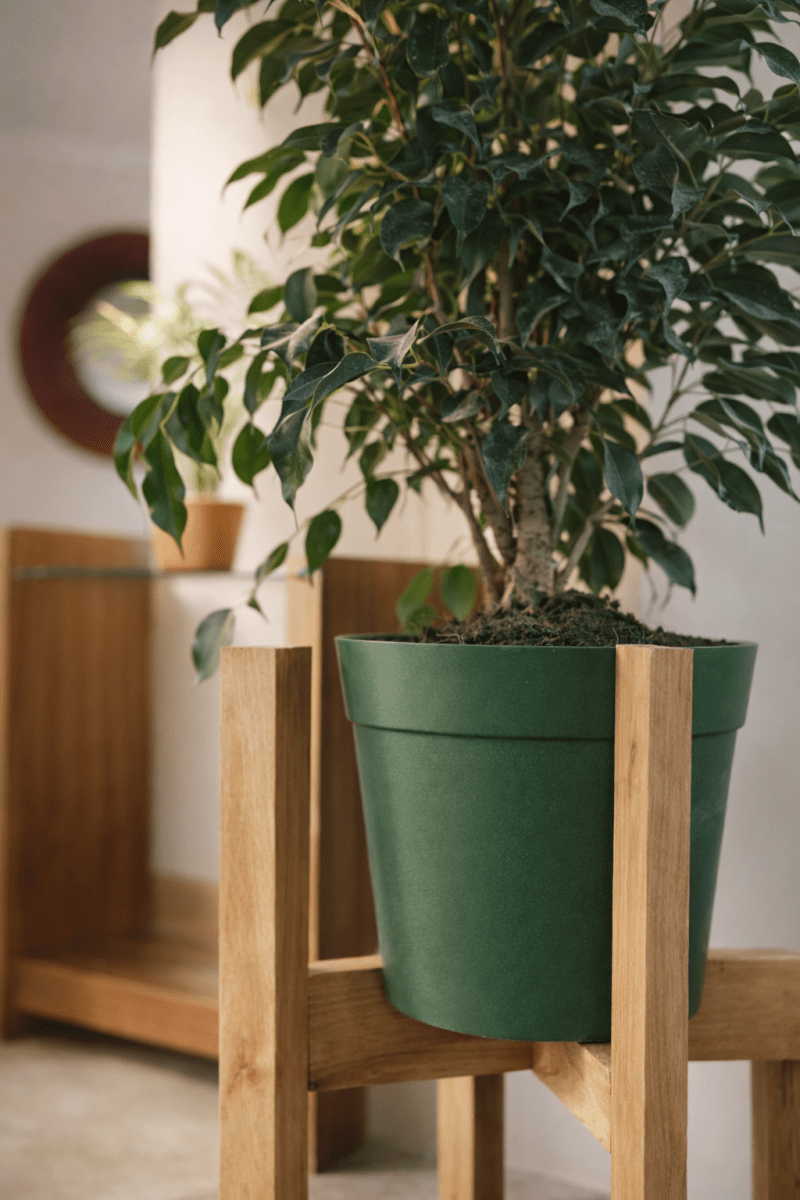 Macetero Bio Bamboo Clasica Musgo 25x25x17 cm4