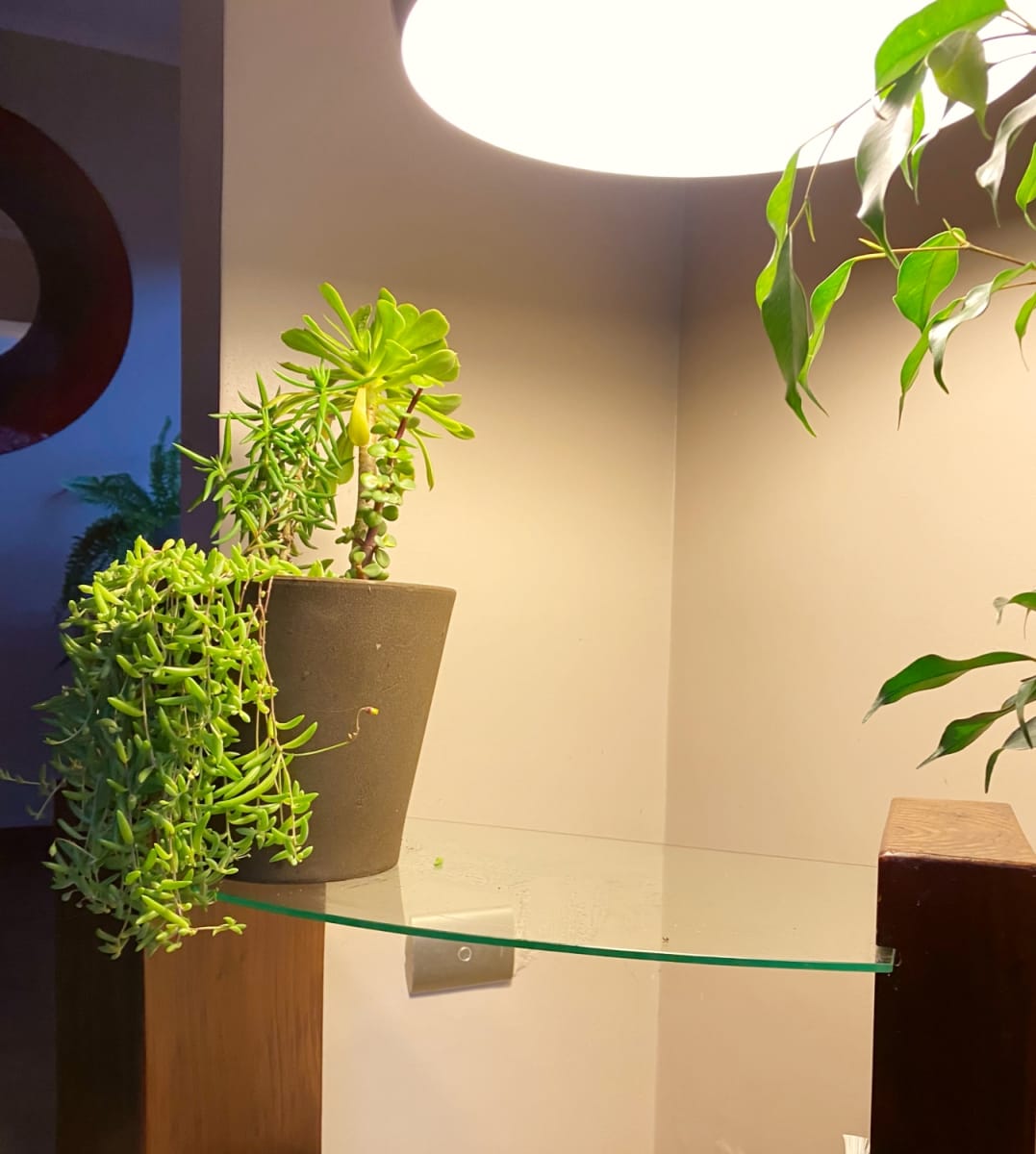 Set De 5 Maceteros Arena 2  Alto Grafito 20x20x18cm 2 Mediano Rojo 15x15x13cm 1 Suculenta Verde 16x15x5cm1