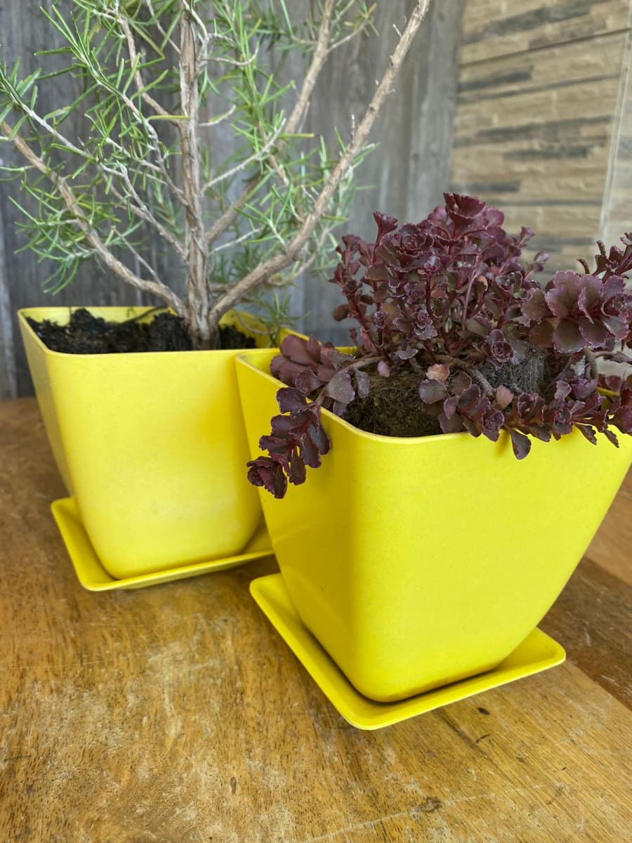 Set Macetero y plato bio bamboo cuadrado amarillo 13,3x13,3x12,41