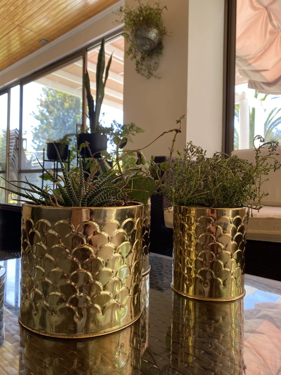 Set 3 Maceteros Dorados Textura 21x21x17cm, 18x18x16cm y 14x14x16cm5