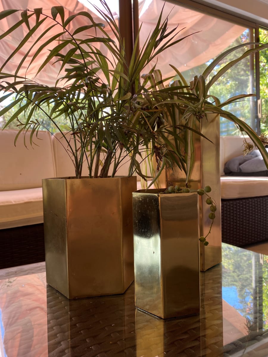 SET 2 MACETA TEXTURA DORADA S 14x14x16 cm y L 21x21x17 cm4