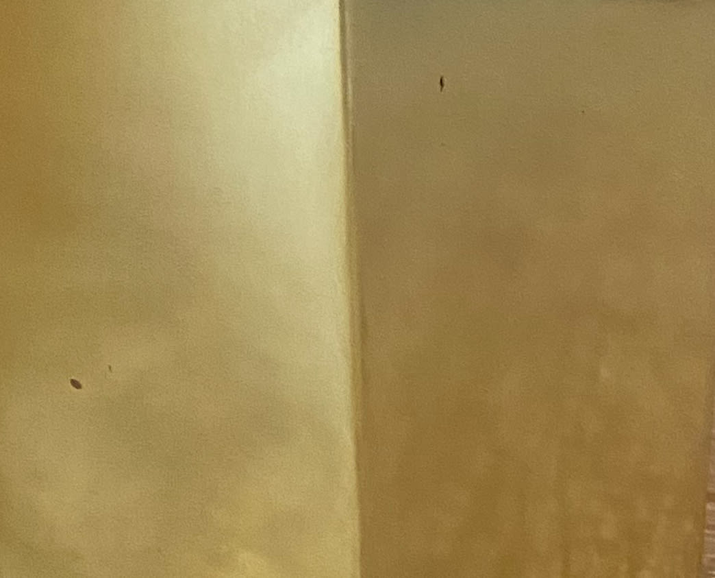 Set 2 Maceteros Octogonales Dorados S 10x10x15cm + M 13x13x30cm3