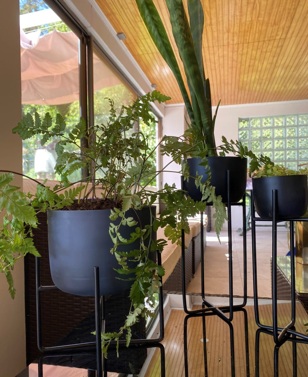Set De 2 Maceteros Pedestal S 10x10x30 cm + L 22x22x26 cm7