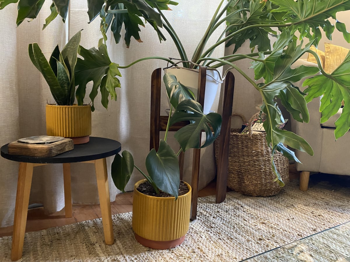 Set 2 Maceteros Enlozados Mostaza 17x15 y 20x184