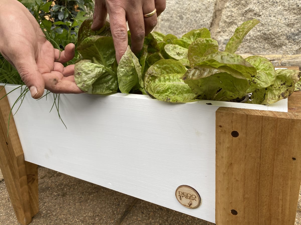 Jardinera Huerto 60X30X32 Blanca1