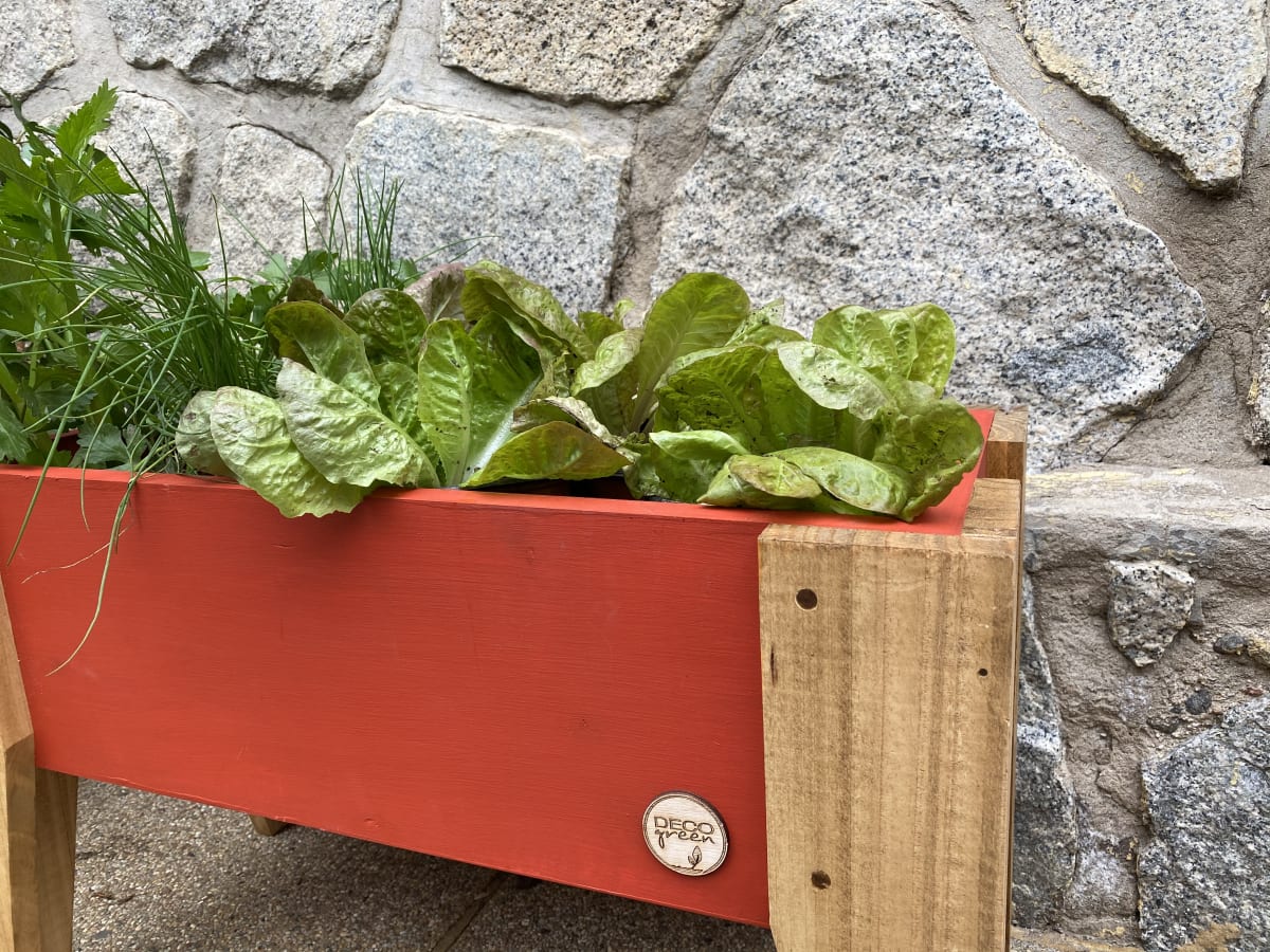 Jardinera Huerto 60X30X32 Terracota6