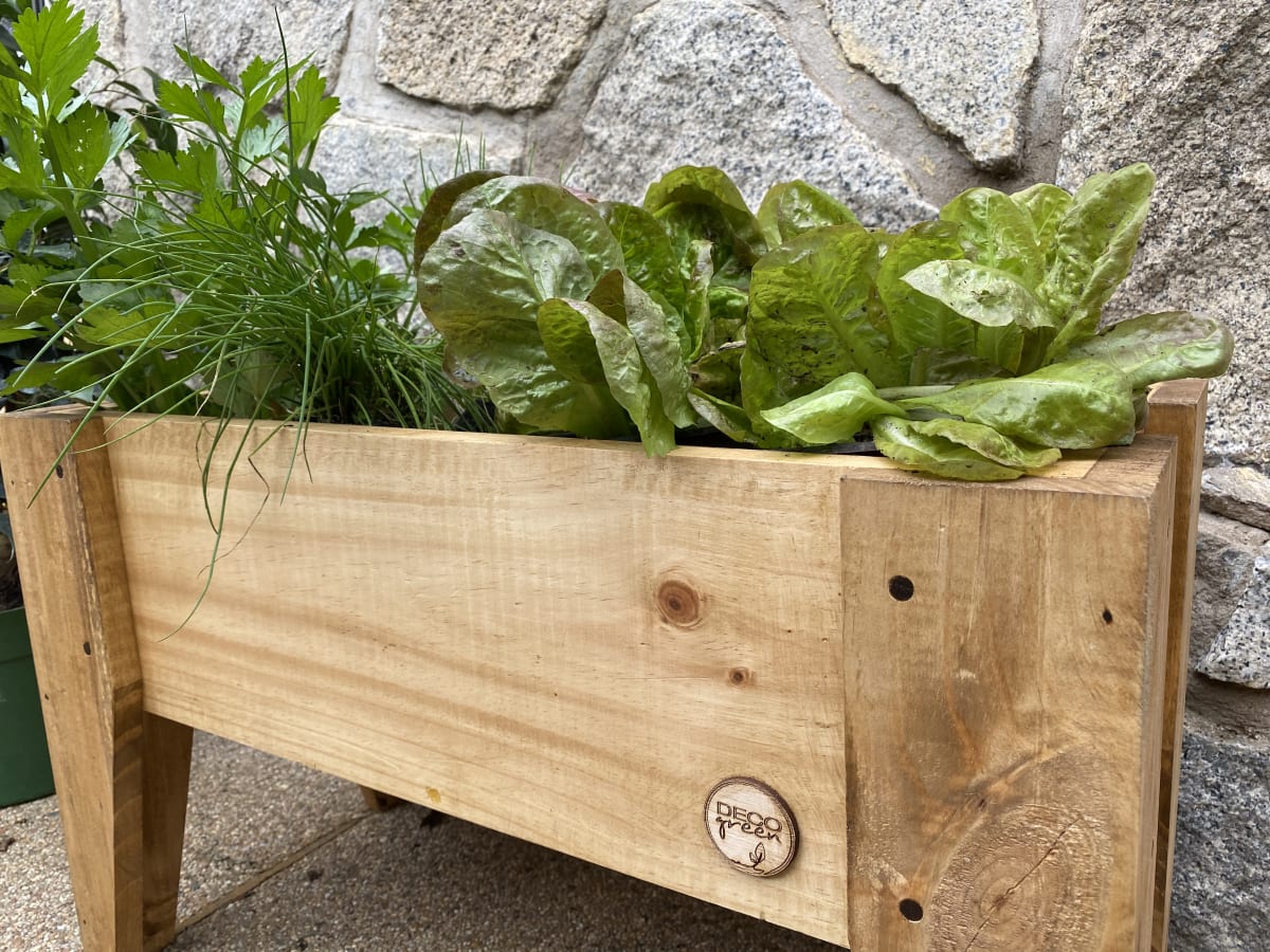 Jardinera Huerto 60X30X32 Natural6