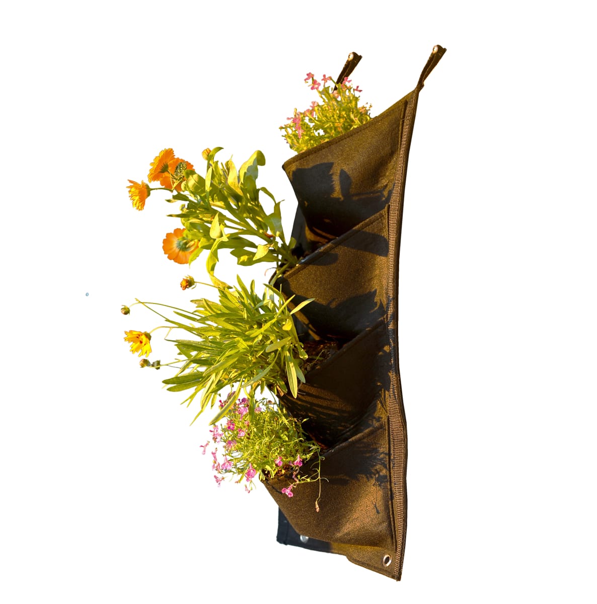 Jardin / Huerto Vertical  60x2x30 cm1