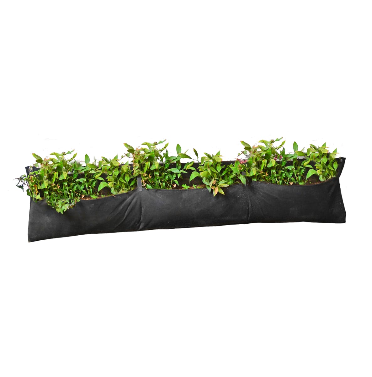 Jardin / Huerto Vertical 4 Bolsillos 100x2x30 cm1