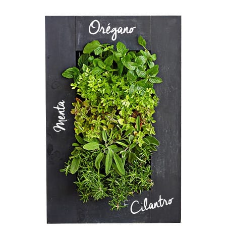 Cuadro Verde Pizarra 40x10x60cm1