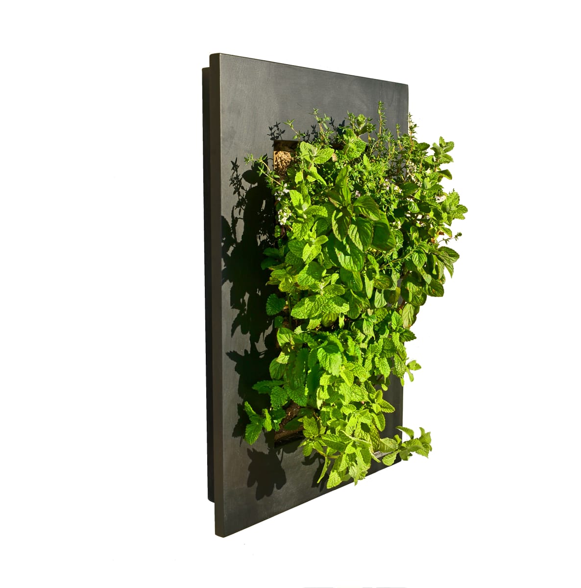 Cuadro Verde Pizarra 40x10x60cm2