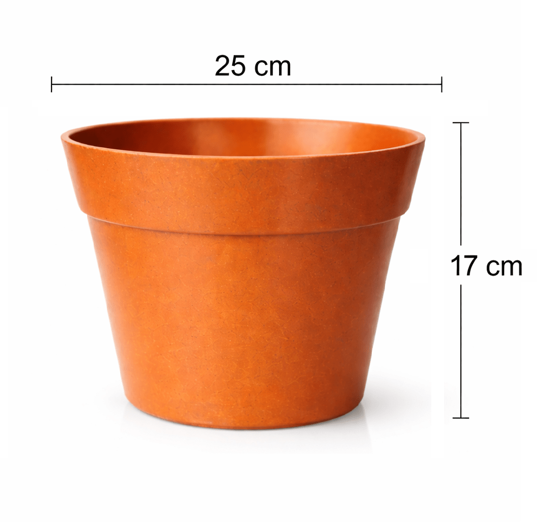 Macetero Bio Bamboo Clasica Terracota 25x25x17 cm2