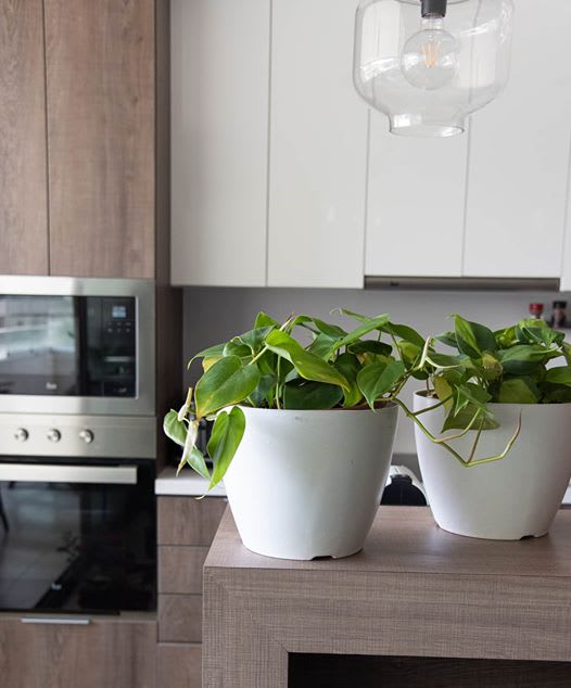 Macetero Bio Bamboo Actual Blanca 24x24x18 cm5