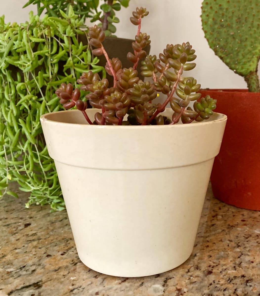 Set 8 Maceteros Bios Redondos 4 Morados, 4 Blancos 13,7x13,7x10 cm2