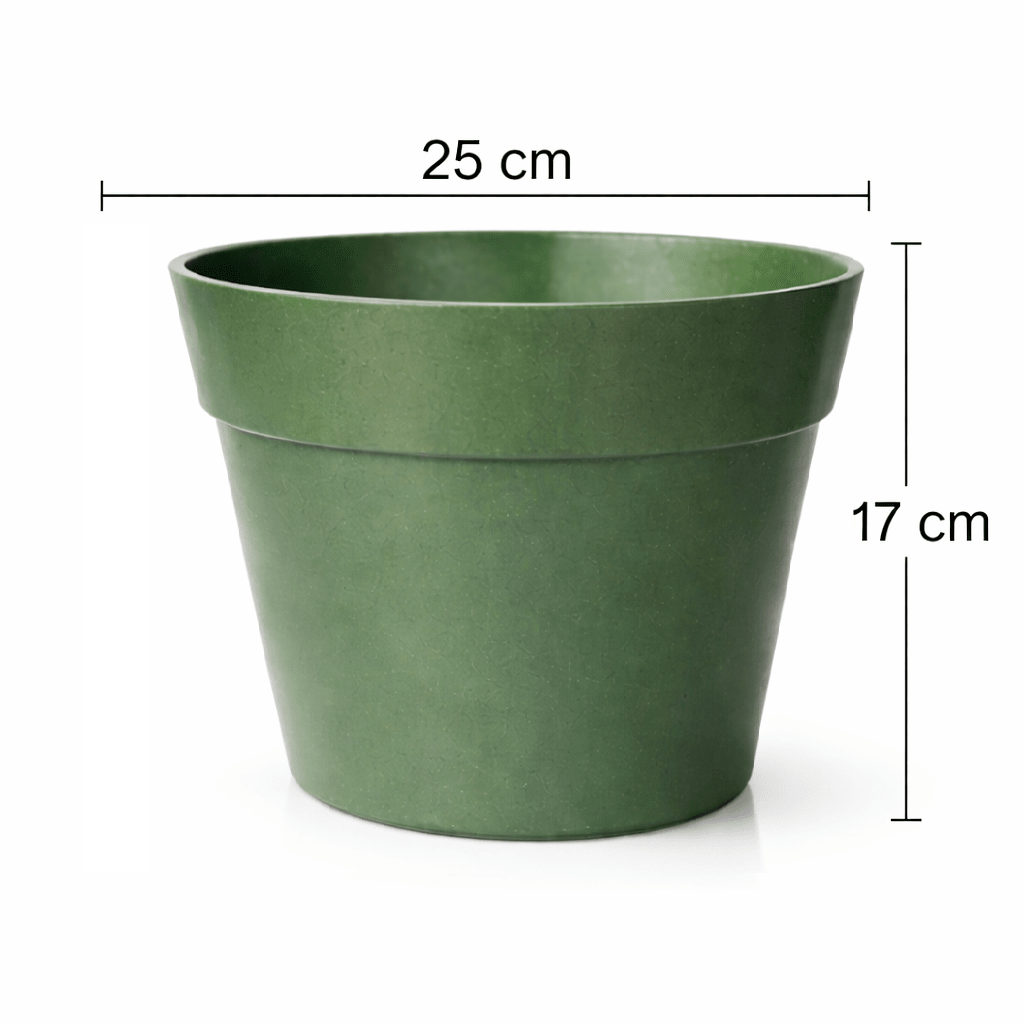 Set de Macetero con Plato Clásico Musgo 25x25x17 cm8