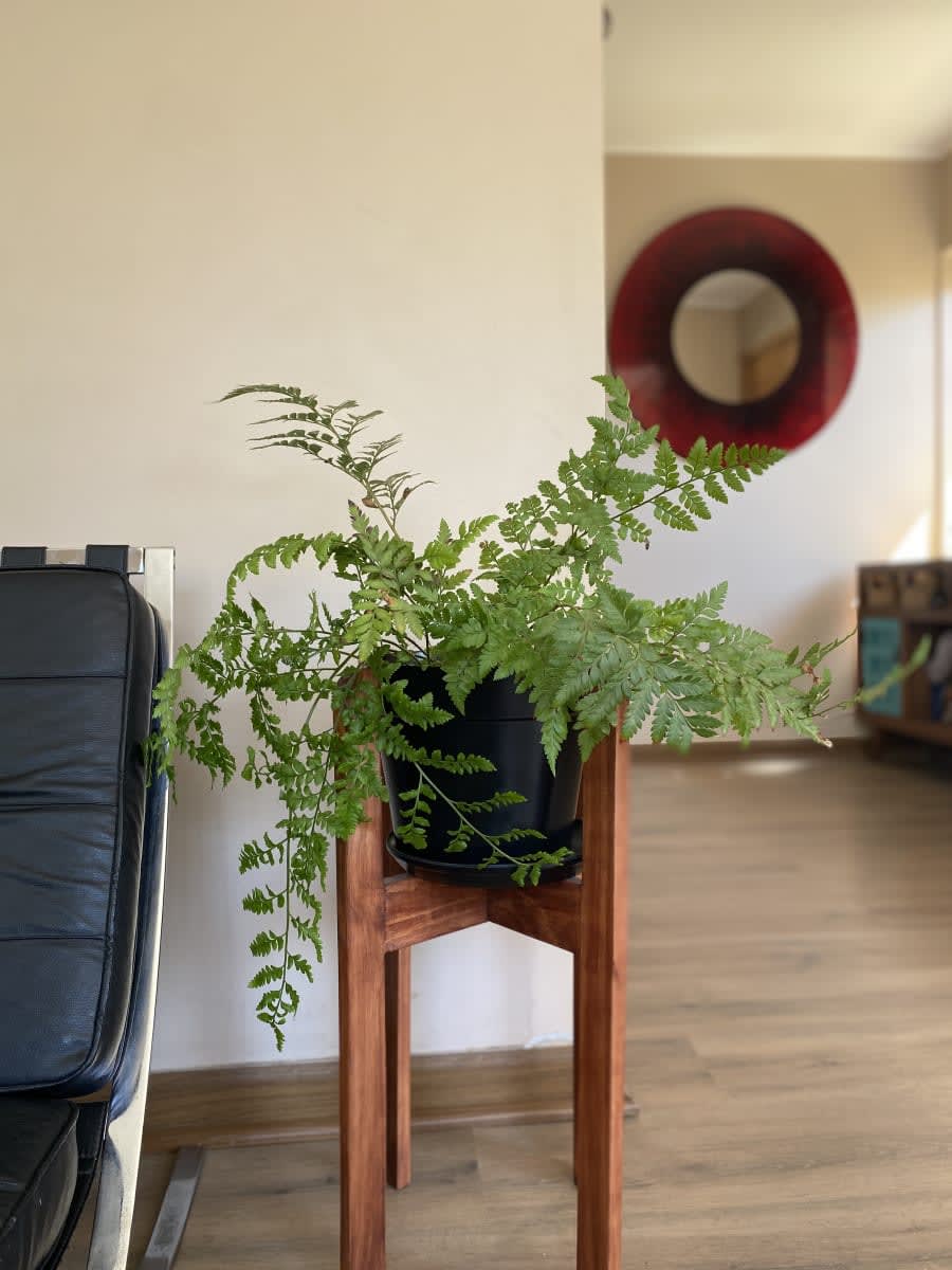 SET 2 MACETEROS BIO CLASICO NEGRO2