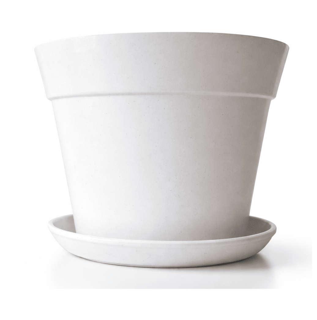 Macetero Biodegradable Bamboo Clasica Blanca1