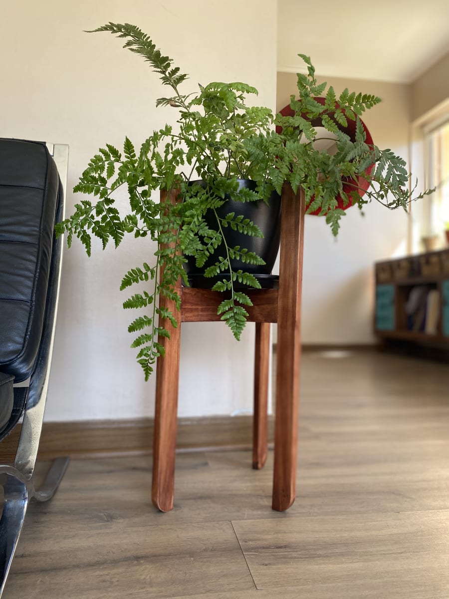 Set 4 Maceteros Bios Actual 2 Negro 2 Terracota 24x24x18 cm2