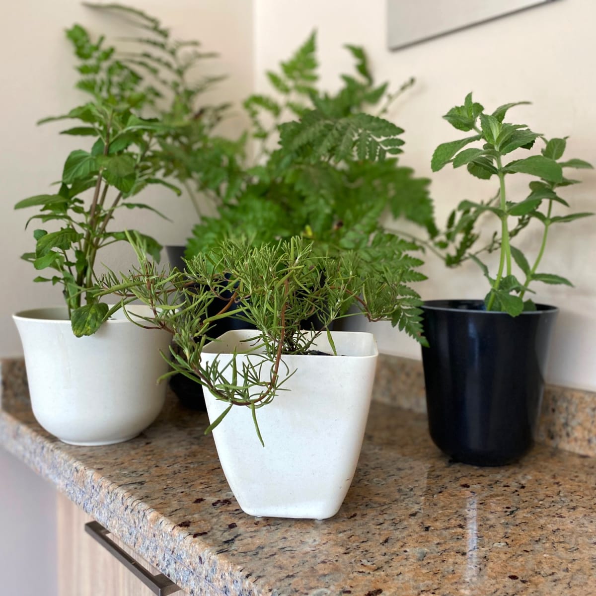 Macetero Bio Bamboo Curvo Blanco 16,5x16,5x13 cm2