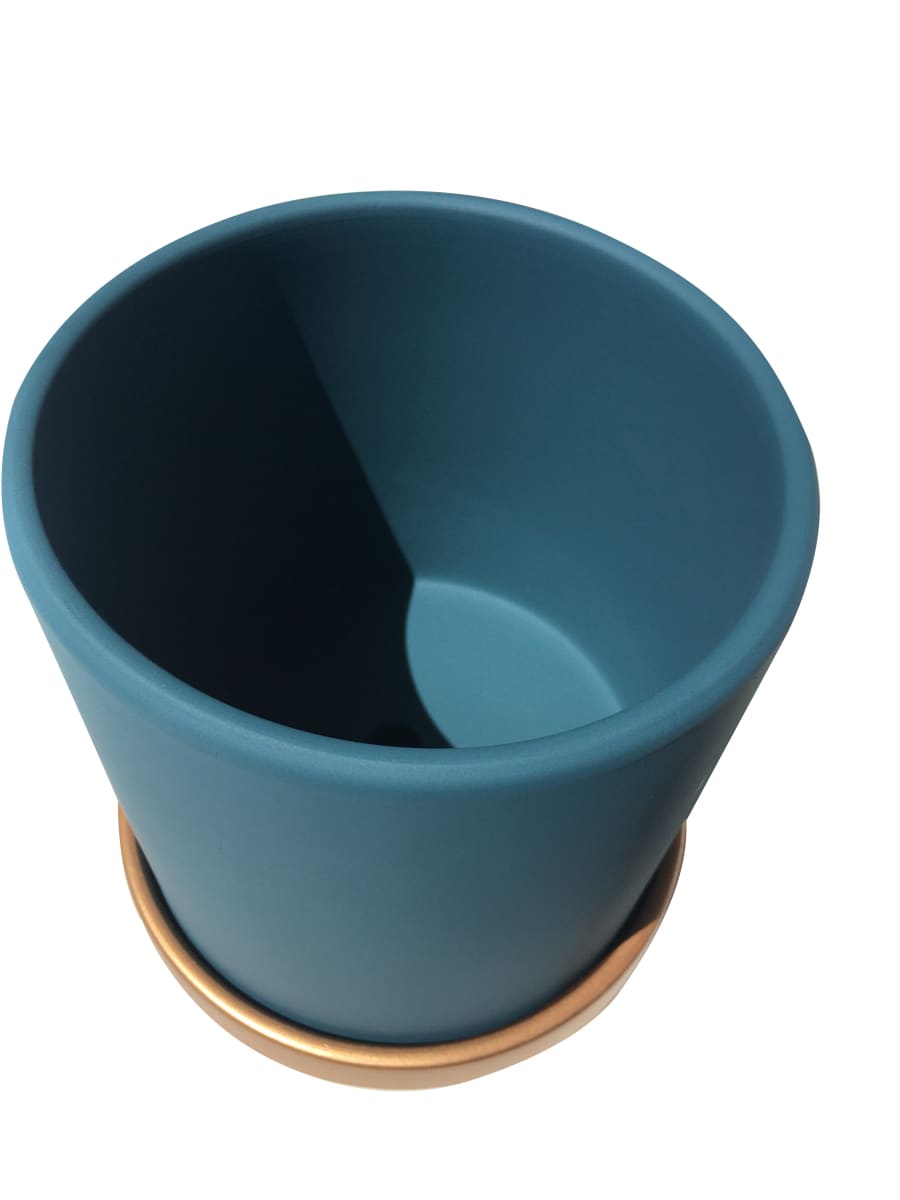 Maceteros Cilindro Con Plato Dorado Verde L1