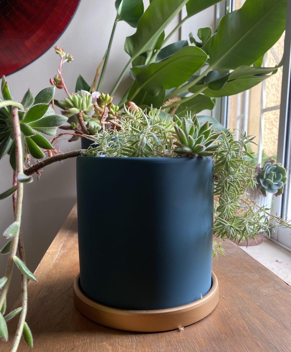 Maceteros Cilindro Con Plato Dorado Verde M1