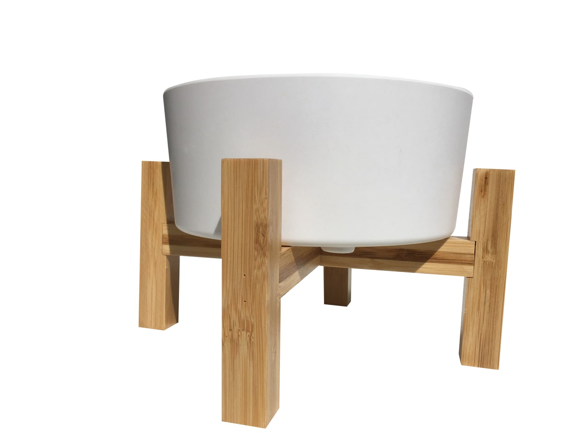 Plato Mascota Bio con Pedestal3