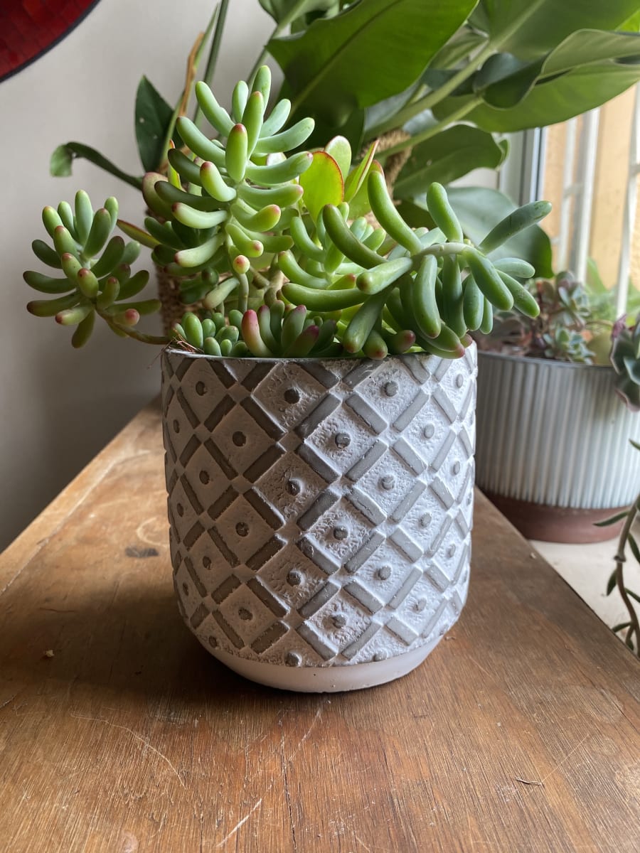 Macetero Cemento Rombo4