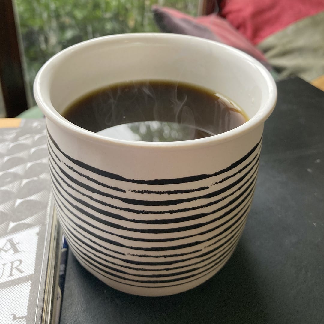 Tazón Biobamboo Enlozado Rayas4